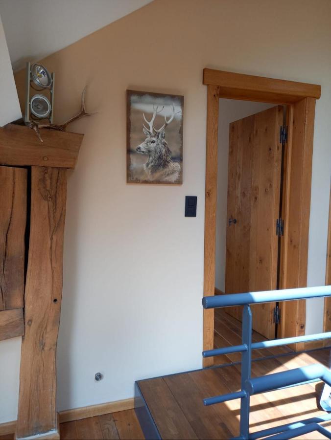Le Clos Du Cerf - Silence & Nature Stoumont Buitenkant foto