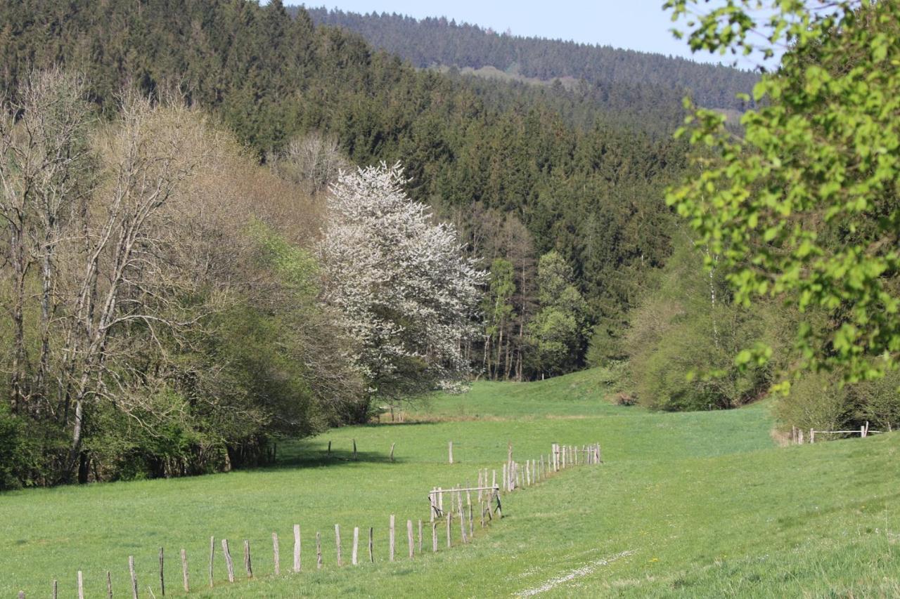 Le Clos Du Cerf - Silence & Nature Stoumont Buitenkant foto